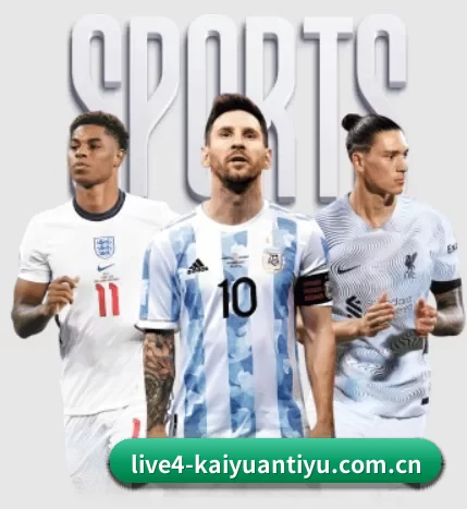五大服务分区,信息按项目分类 - 多运动项目内容板块